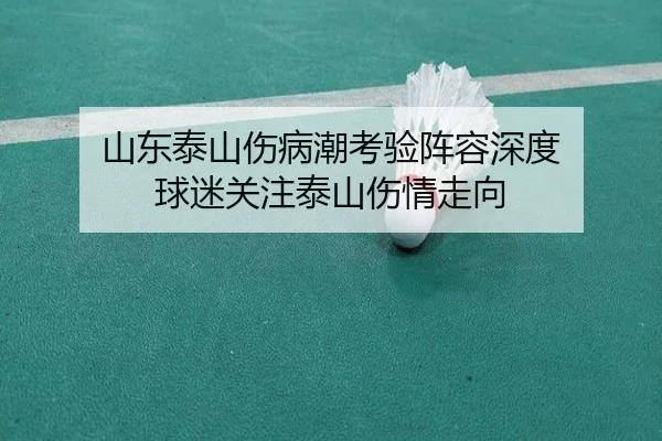 shan-dong-tai-shan-shang-bing-chao-kao-yan-zhen-rong-shen-du-qiu-mi-guan-zhu-tai-shan-shang-qing-zou-xiang-2-831.jpg